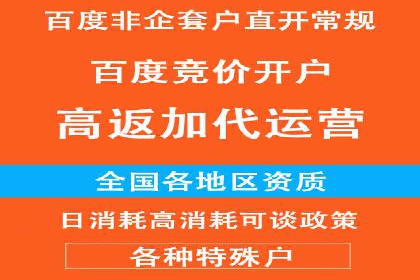 sem百度竞价实战：成功案例解析
